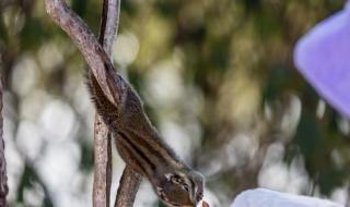 瓦屋山住宿 瓦屋山住宿